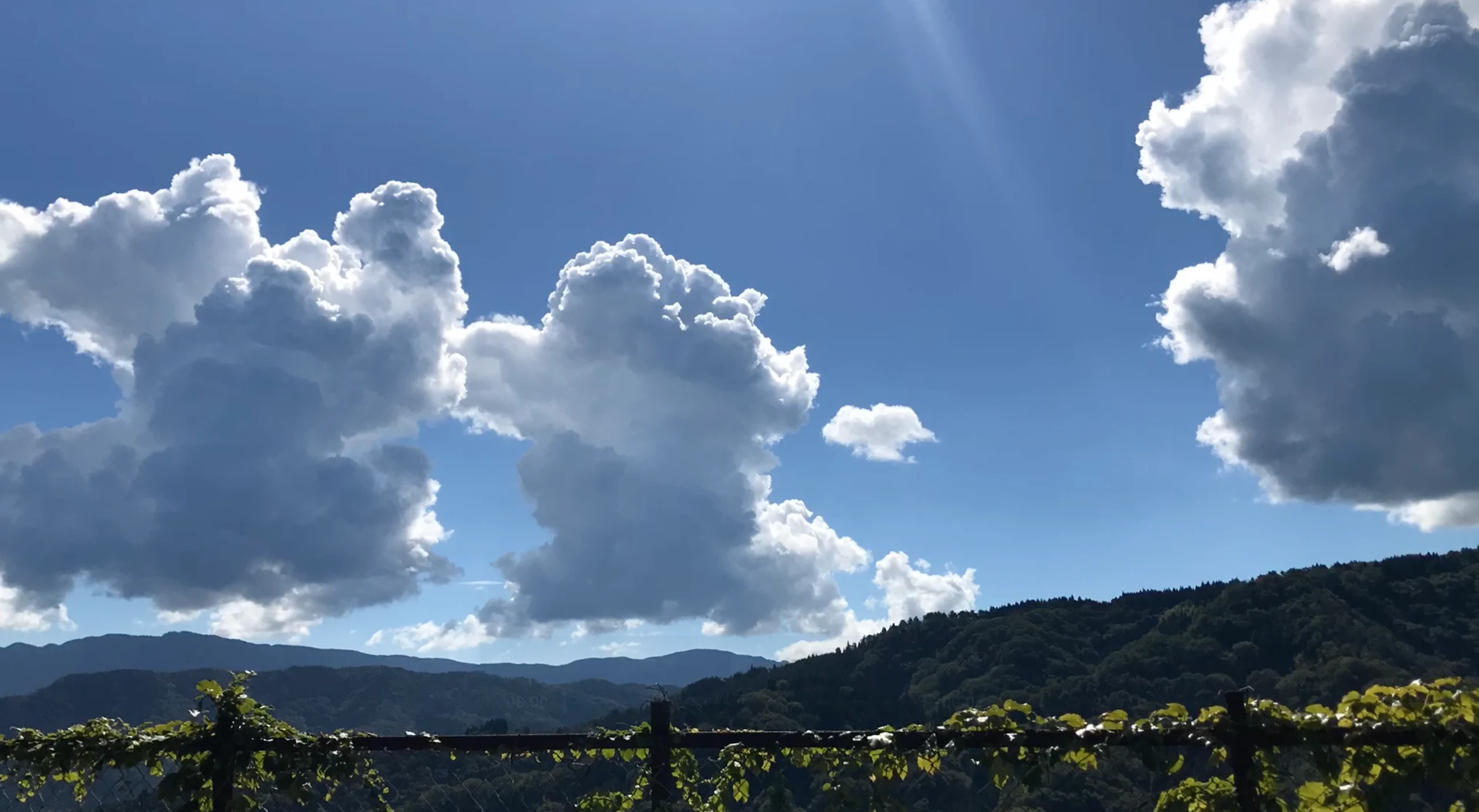 青空と雲